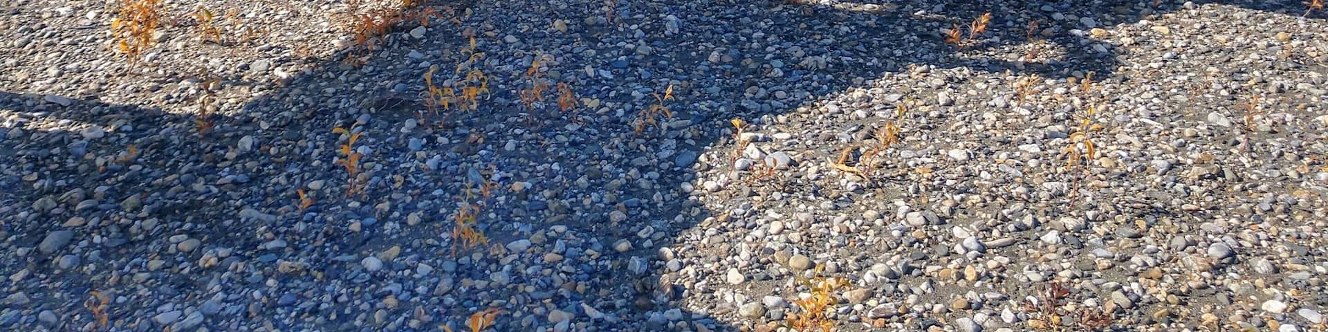 4 years, 61 National Parks. My mother and I finished our epic National Park journey in the remote Gates of the Arctic National Park on a sunny August day. I'm so grateful to have such an adventurous and supportive family member, who has nurtured my wandering soul. As the journey comes to an end, it's bittersweet, as every park was filled with beauty, #adventure, and learning.