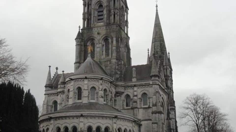 Beautiful from every angle.