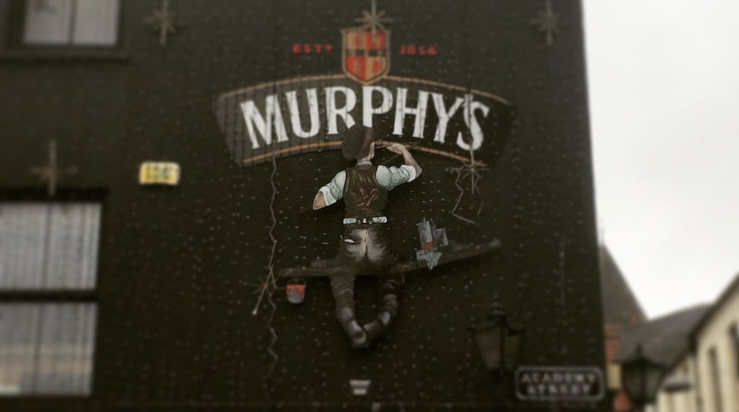 One of many small pubs in the city.