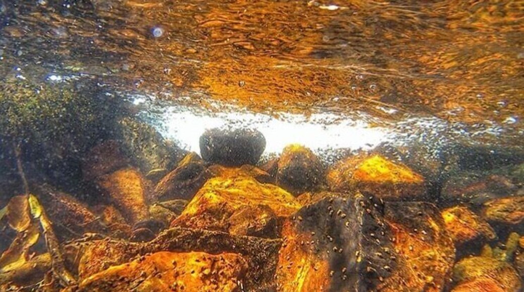 Rare occasion.
Swim into the fire.
Golden hour
#golden