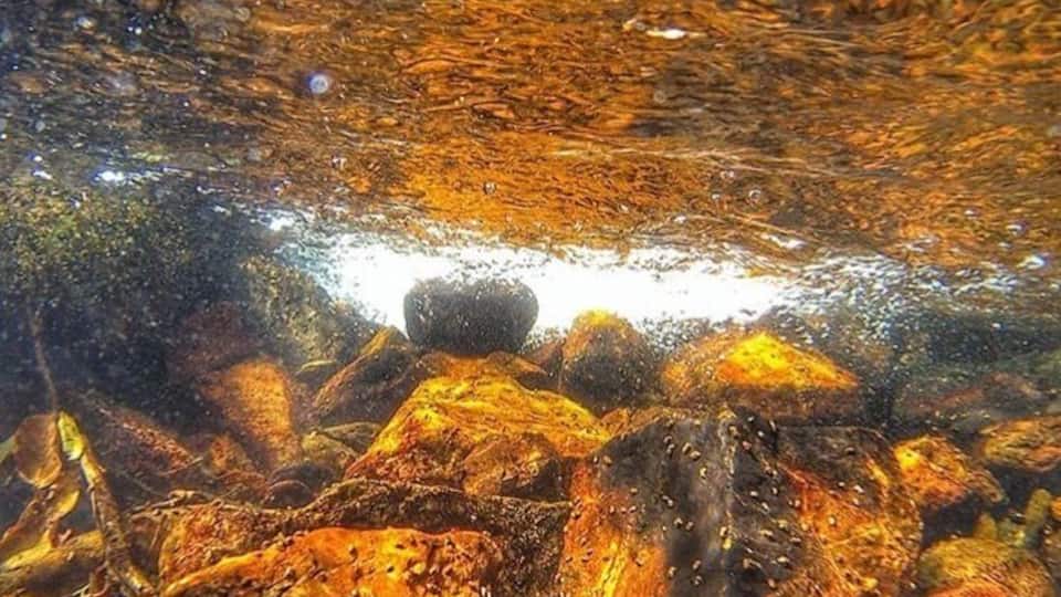 Rare occasion.
Swim into the fire.
Golden hour
#golden