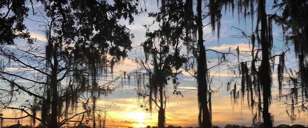 My beautiful neighborhood