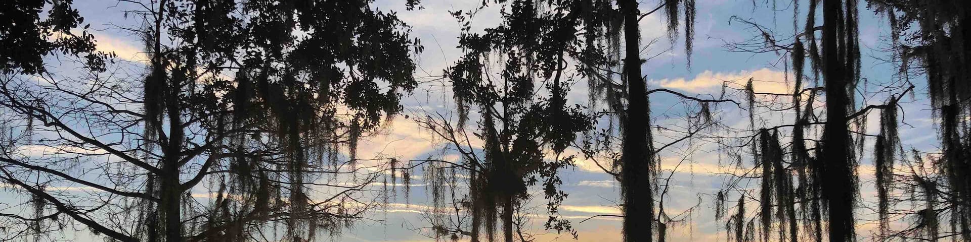 My beautiful neighborhood