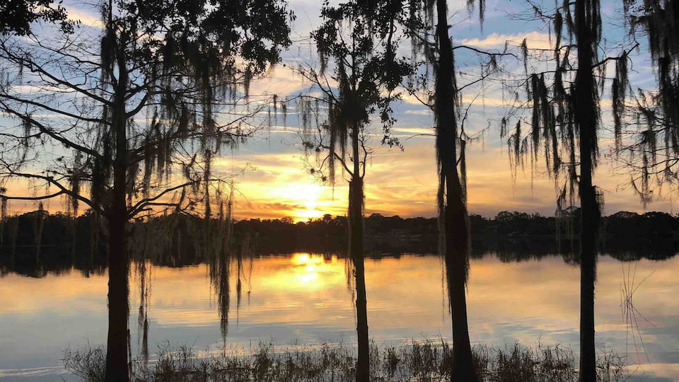 My beautiful neighborhood