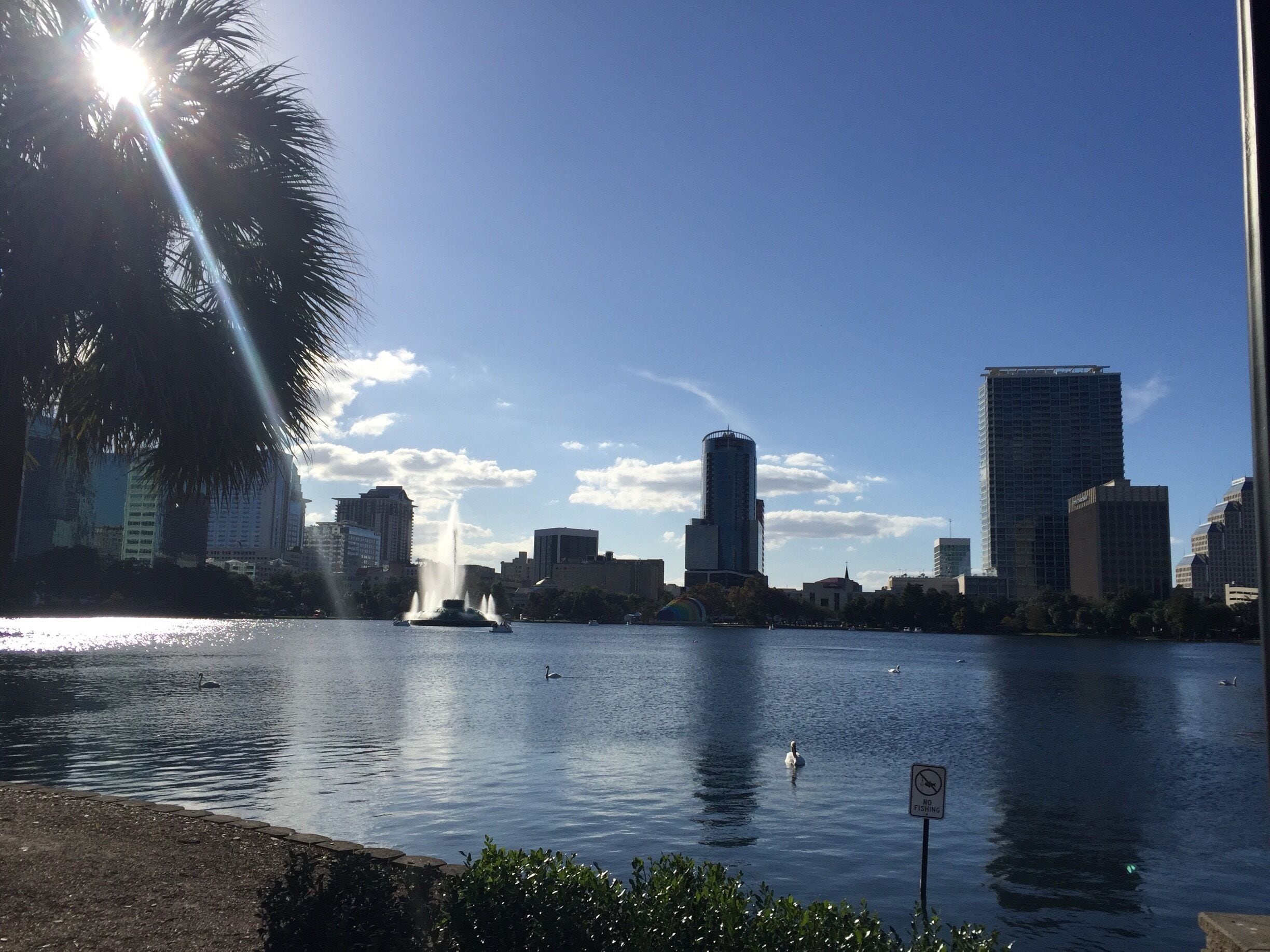 A pretty park at Orlando! 🇱🇷