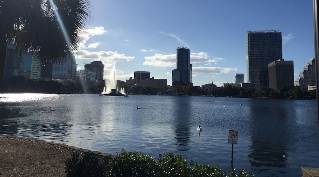 A pretty park at Orlando! đ±đ·