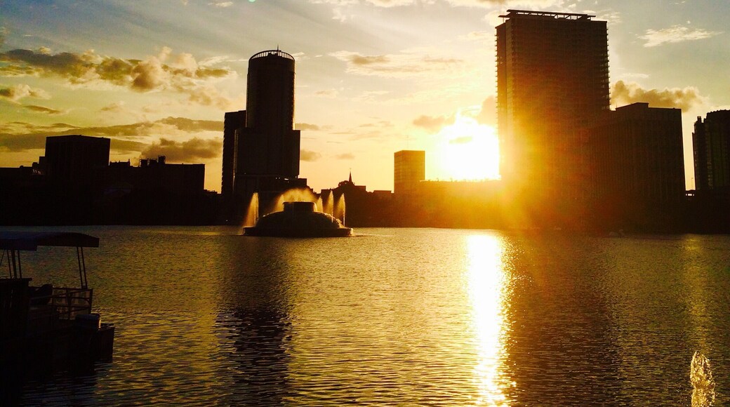 Orlando FL the city beautiful.