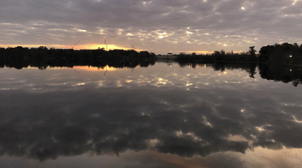 Love my neighborhood!