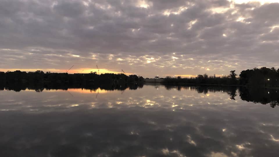 Love my neighborhood!