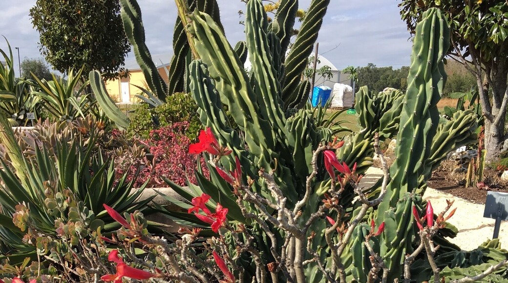 Beautiful gardens at the UF Extension Center.