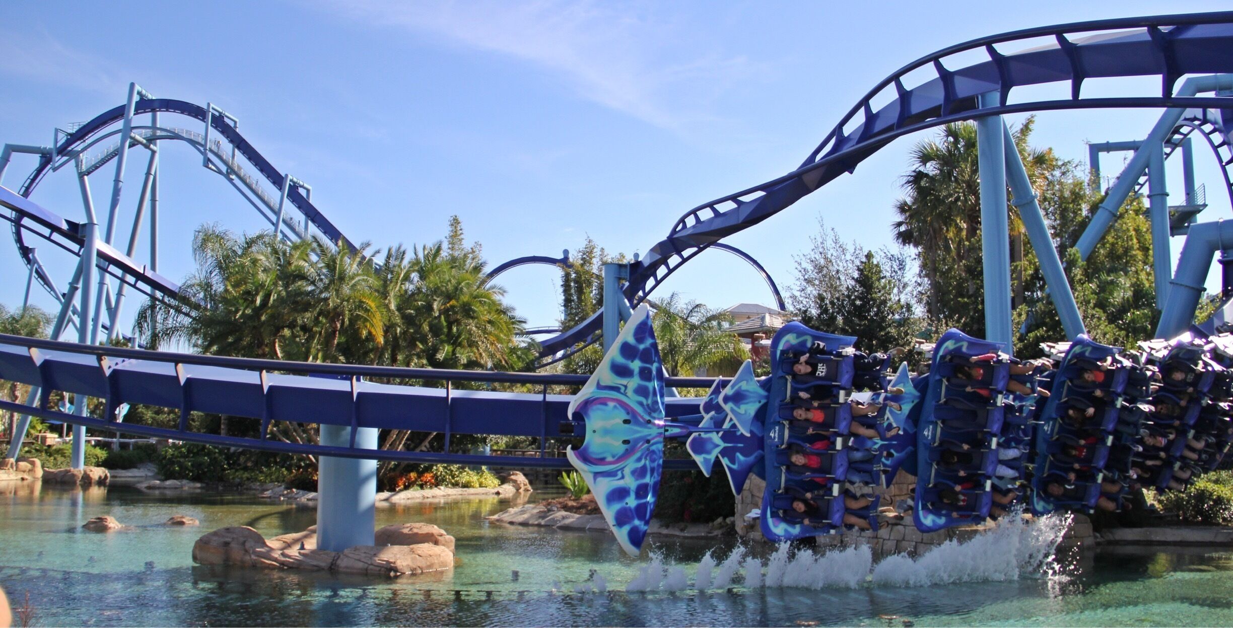 Flying with Manta, at Sea World Orlando. #Blue
#EndlessSummer