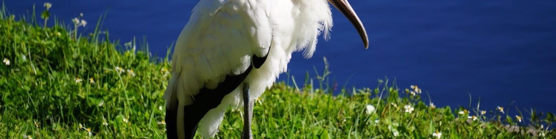 #Orlando is more than mouse ears. #orlandosecrets #therealorlando #thecitybeautiful