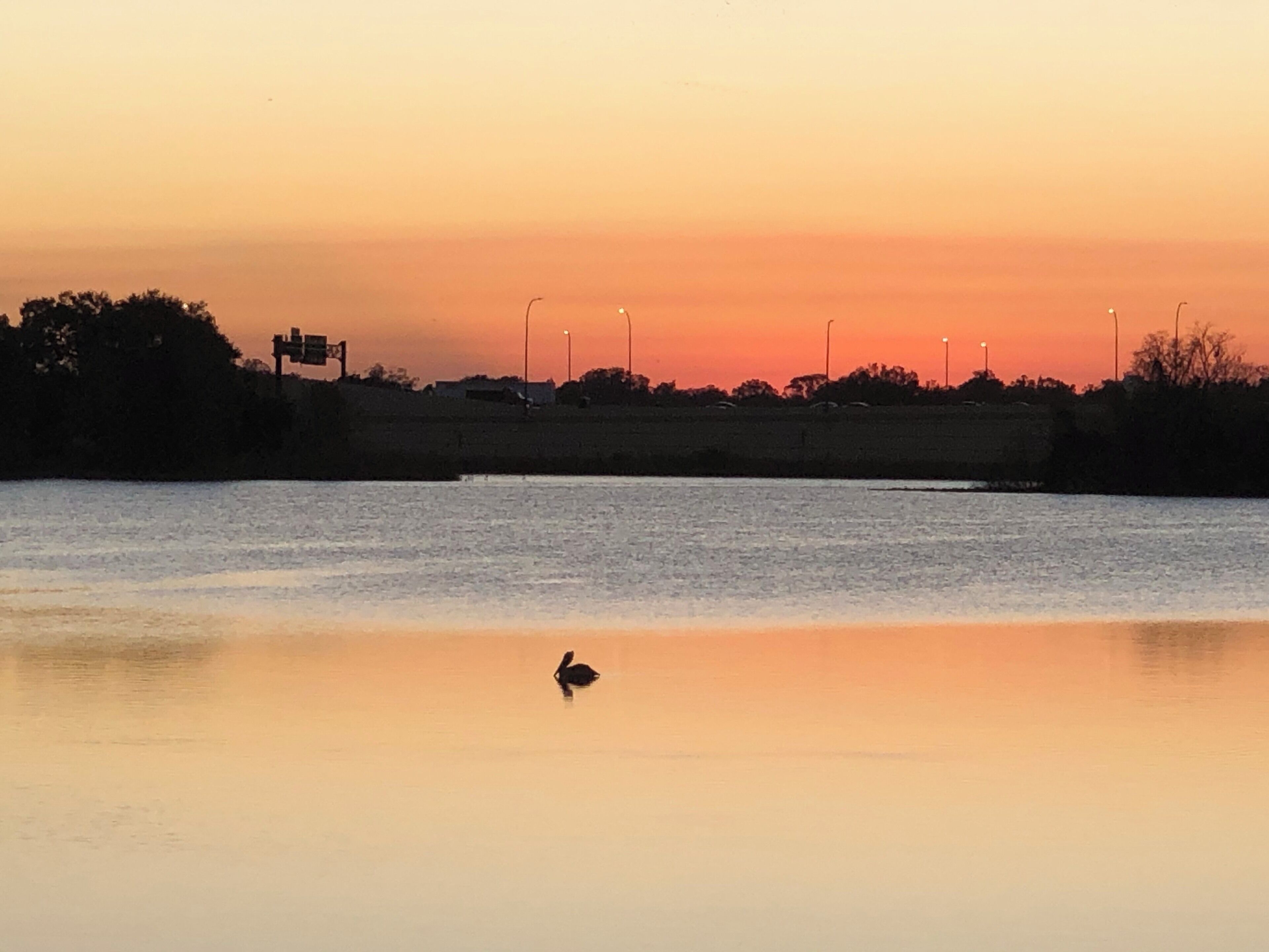 A perfect reflection in early morning walk.