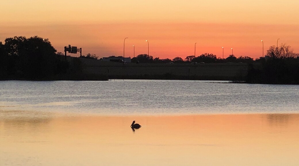 A perfect reflection in early morning walk.