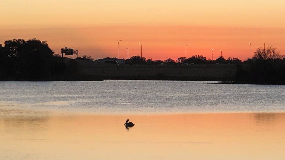 A perfect reflection in early morning walk.