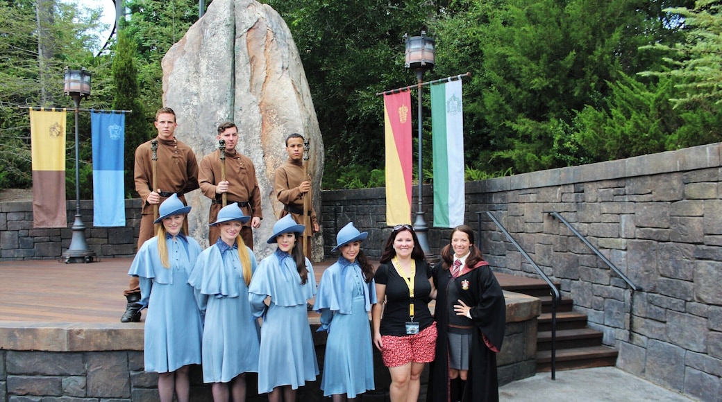 Durmstrang and Beauxbatons contestants visiting Hogwarts for the Tri Wizard Tournament.