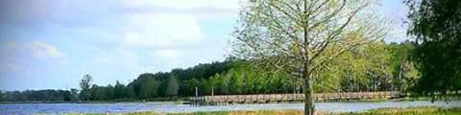 A flooded field with a tree in the center and a body of water reflecting the sky.