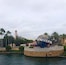 A large globe with "UNIVERSITY" written on it, surrounded by palm trees and a water feature.