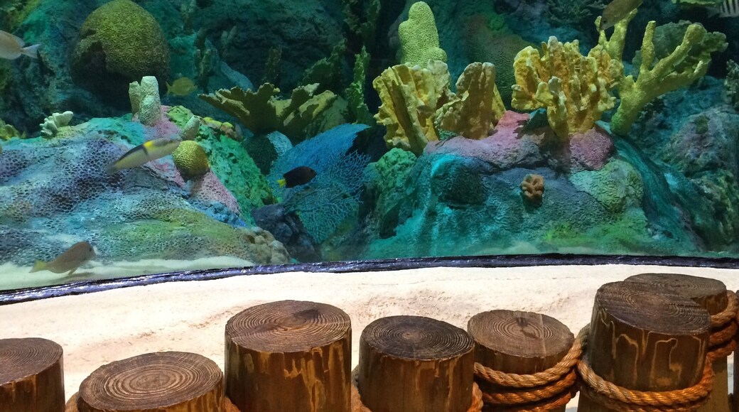 This is a great creative center for the entire family. Plenty to do and explore.