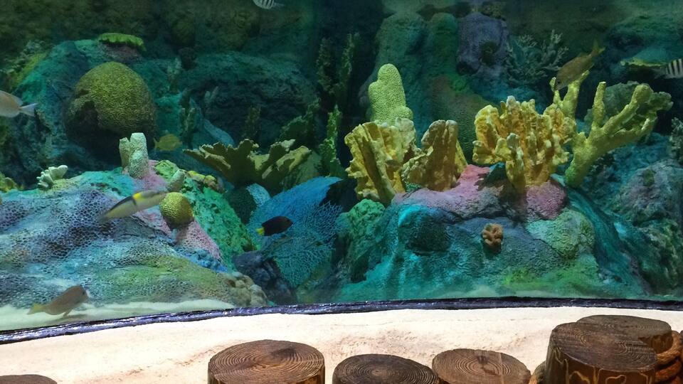 This is a great creative center for the entire family. Plenty to do and explore.