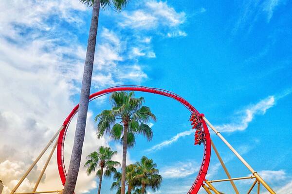 Hollywood Rip Ride Rock it at Universal Studios, Orlando.
Taken on a Sony a6000 with a 16 mm Sony lens.
# TroveonTuesday