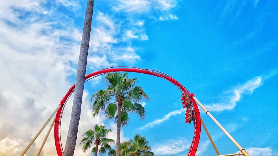 Hollywood Rip Ride Rock it at Universal Studios, Orlando.
Taken on a Sony a6000 with a 16 mm Sony lens.
# TroveonTuesday