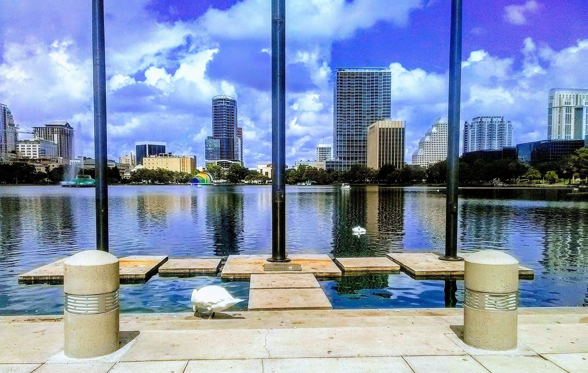 Lake Eola overlooking downtown Orlando. ⛲