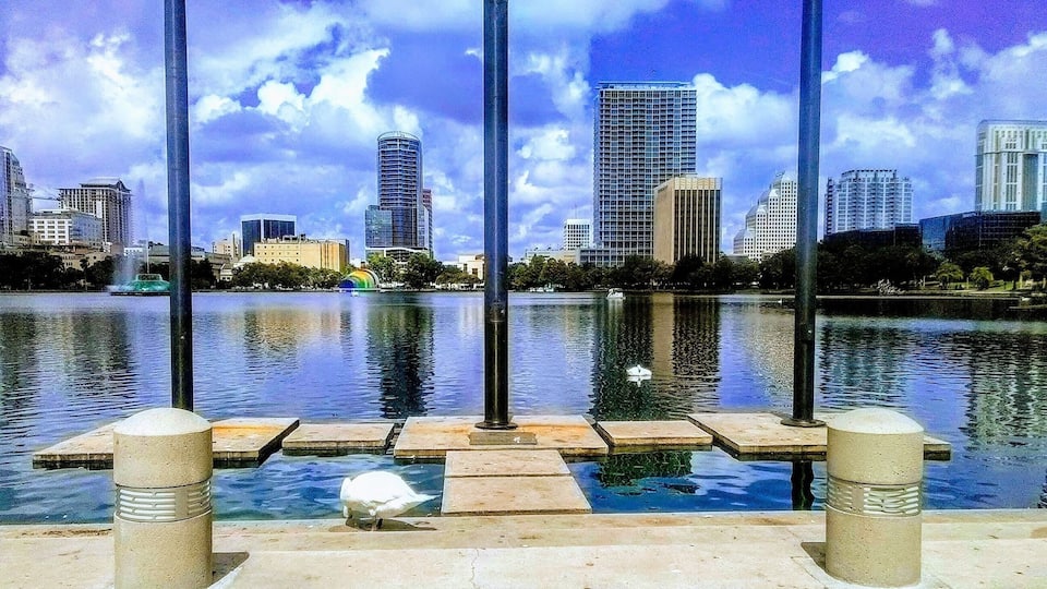 Lake Eola overlooking downtown Orlando. ⛲