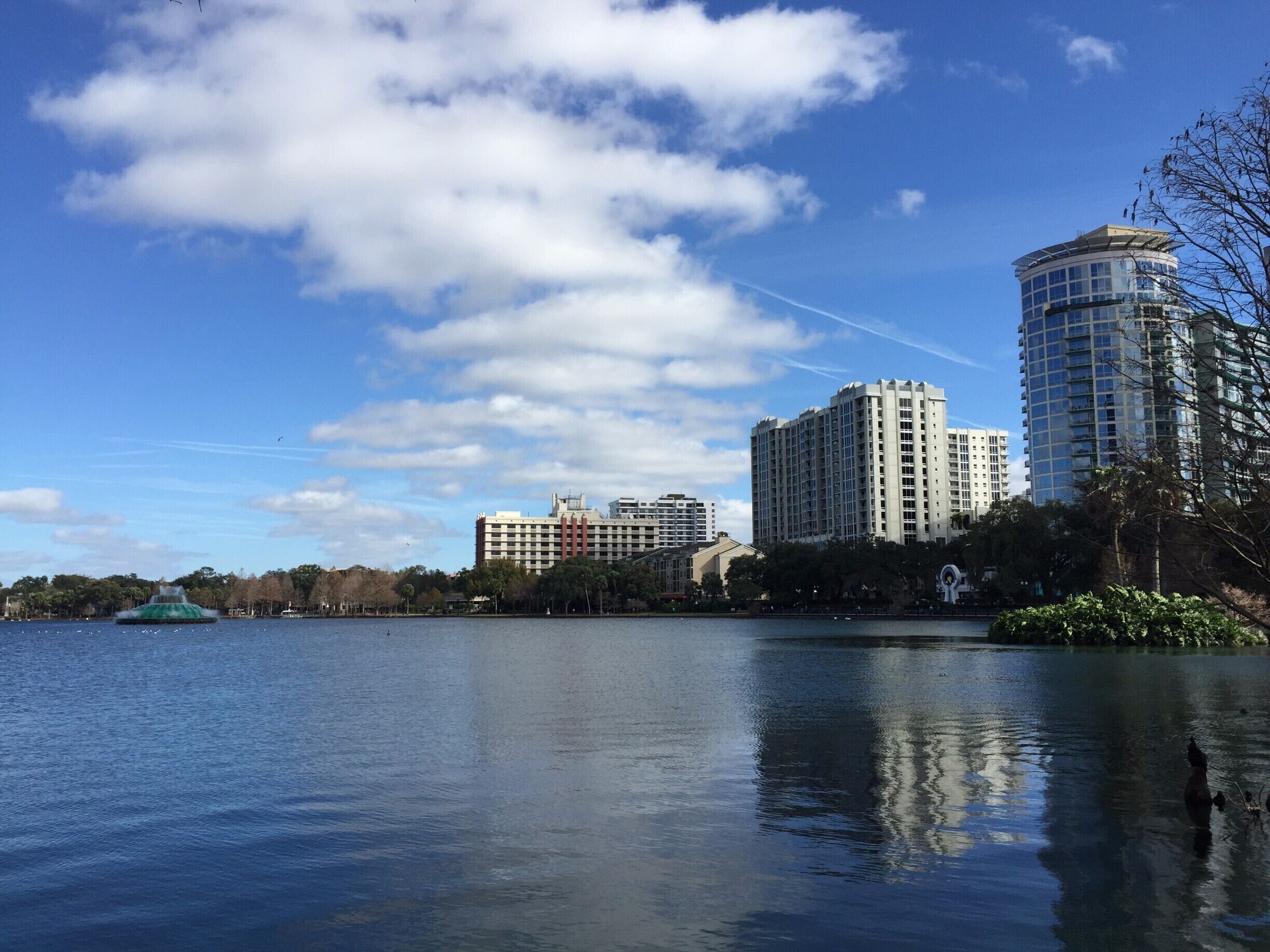 Lake Eola Park is a beautiful section of downtown Orlando. The bandshell arena has some great events, or just the walk around the lake is perfect for an evening stroll. Escape the concrete jungle for a piece of nature in central Florida.
