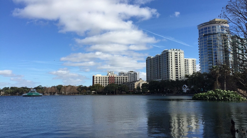 Lake Eola Park is a beautiful section of downtown Orlando. The bandshell arena has some great events, or just the walk around the lake is perfect for an evening stroll. Escape the concrete jungle for a piece of nature in central Florida.