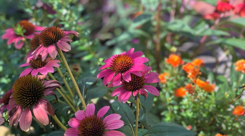 Grab a map from from the front desk the gardens are huge!