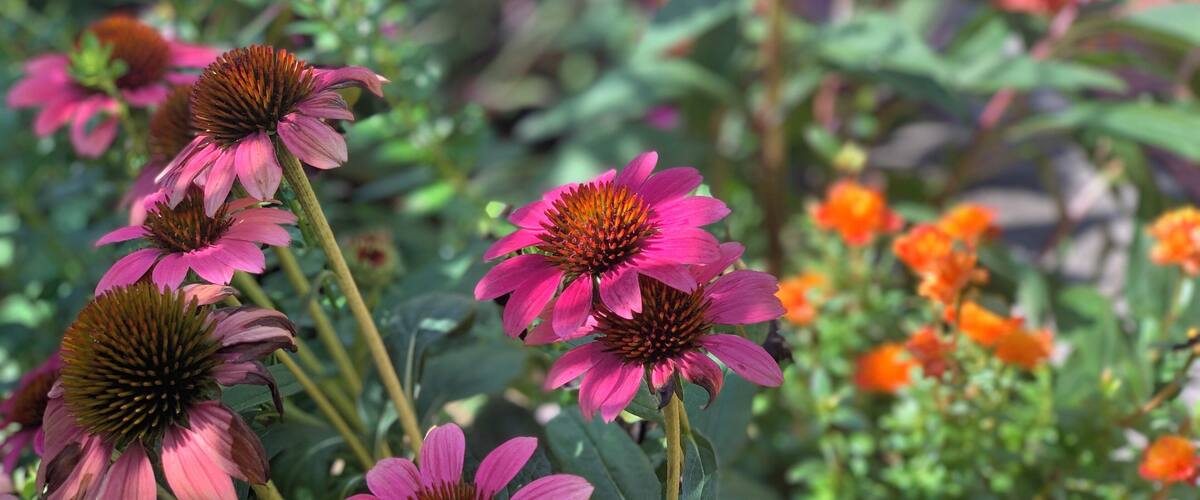 Grab a map from from the front desk the gardens are huge!