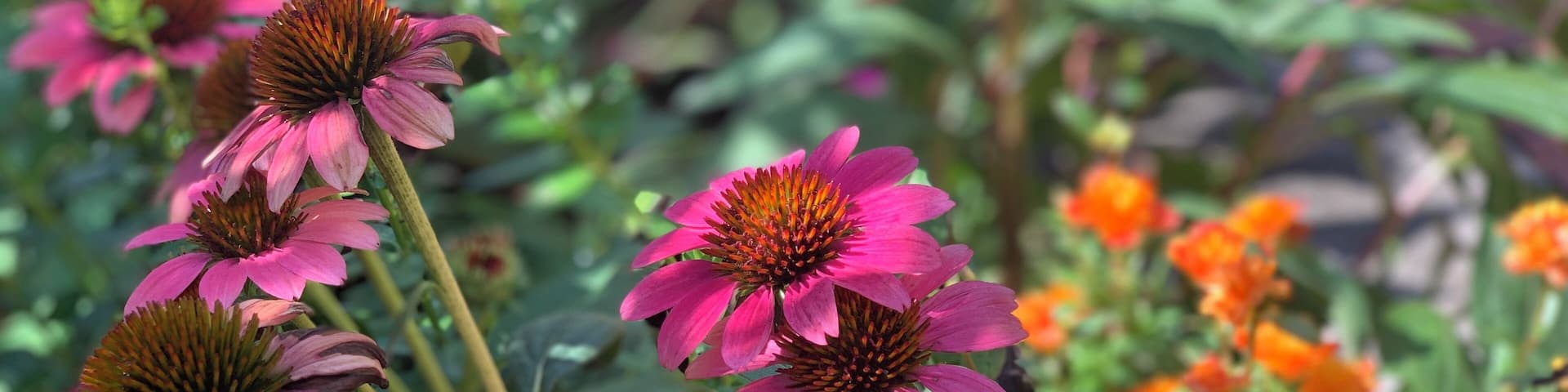 Grab a map from from the front desk the gardens are huge!