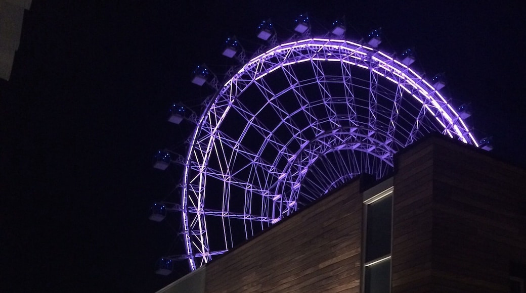 If you can't make it to London, to give the London Eye a ride, the Orlando Eye is a great option. Next time I'll try riding at dusk.