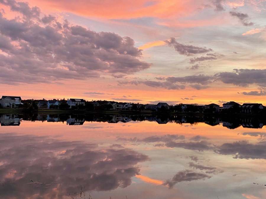 #lakenona #lakenonafl #canvasrestaurant #laureatepark #lifeinlaureatepark #inthenonahood #nonahood #sunset #orlandosunset #centralflorida #thecitybeautiful #citybeautiful #orlando #orlandofl #orlandoflorida #nonasunset #pinkskies #beautifulnight