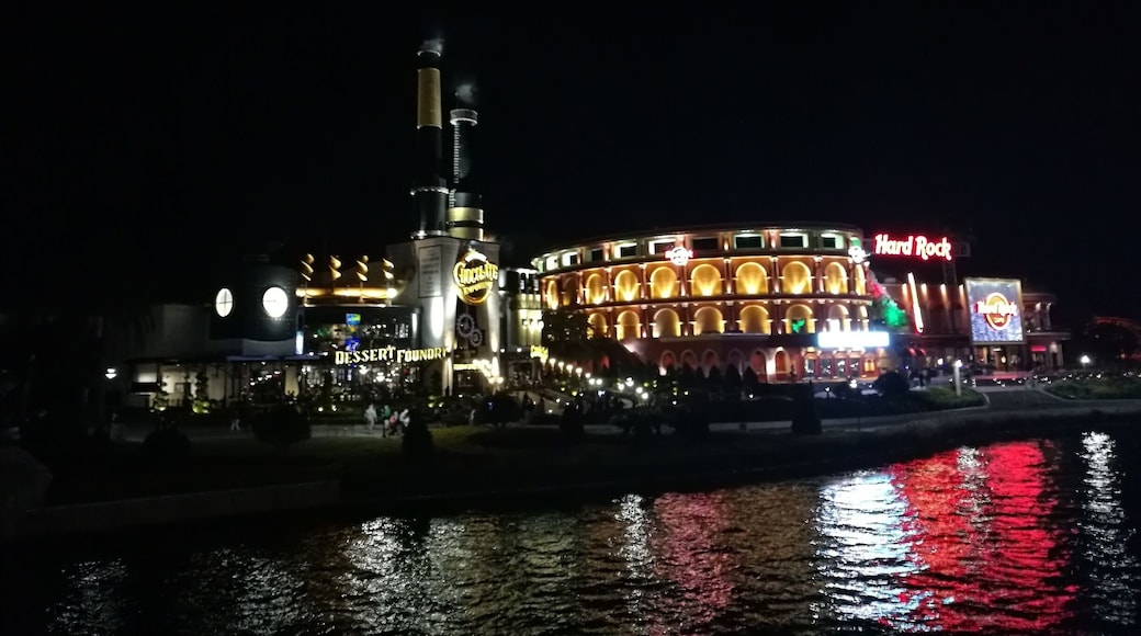 Night after Mardi Grass