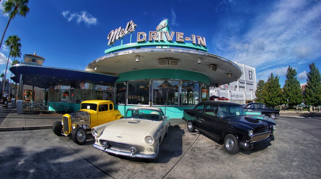 Mel"s Drive In at Universal Studios, Orlando.
Great vintage cars.
Taken with a Sony a6000 with fisheye lens ( opteka ).