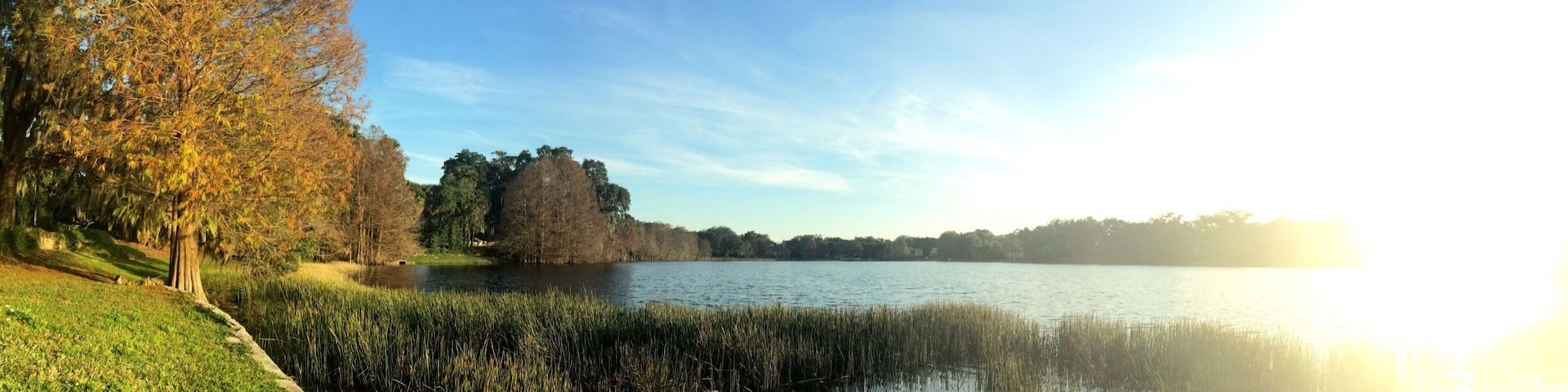 A quiet lake hidden in a beautiful neighborhood, with a path to walk around and grassy spots to sit and watch the swans with little to no other people around.