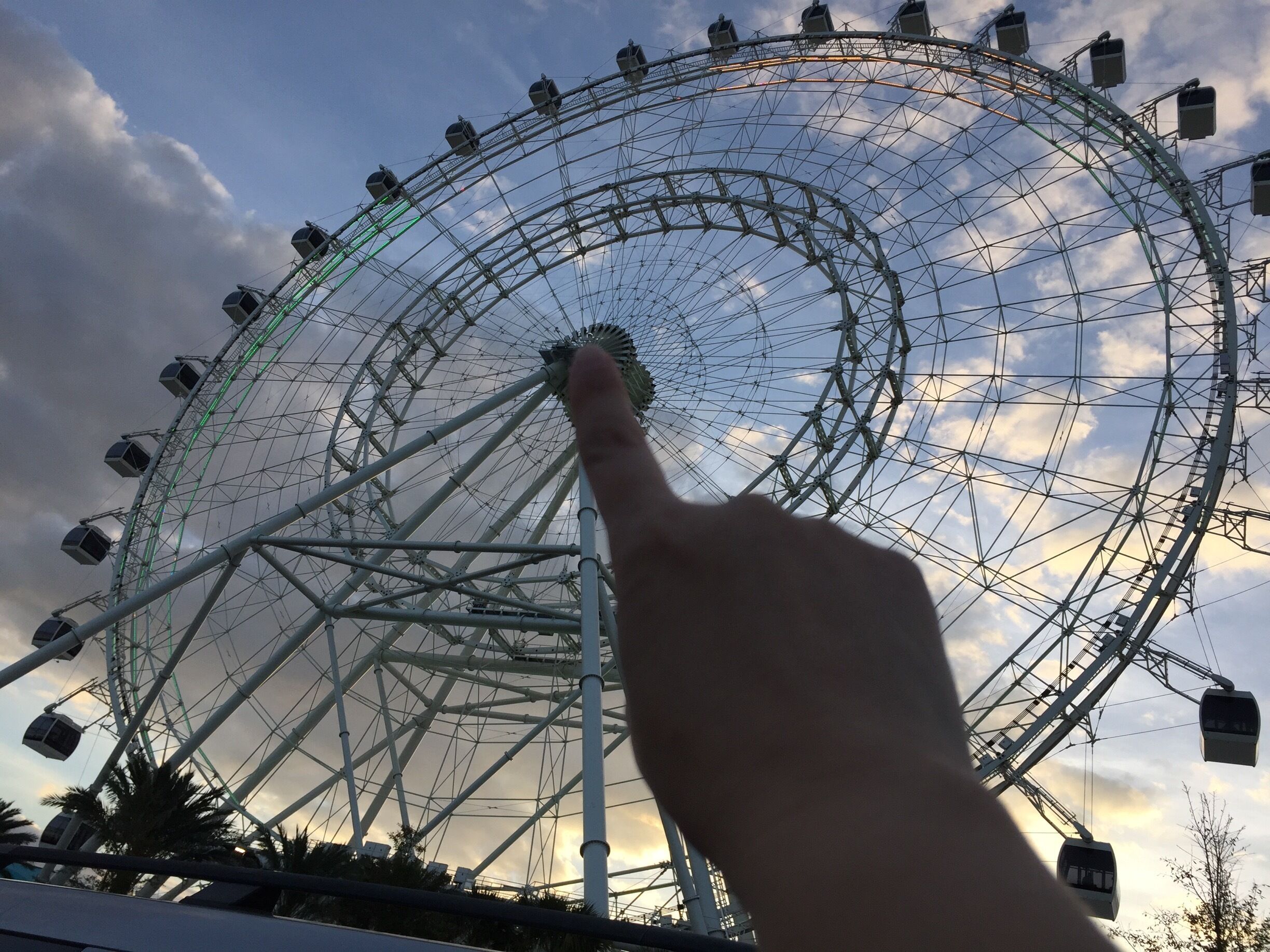 Great view of Orlando! Kids friendly 