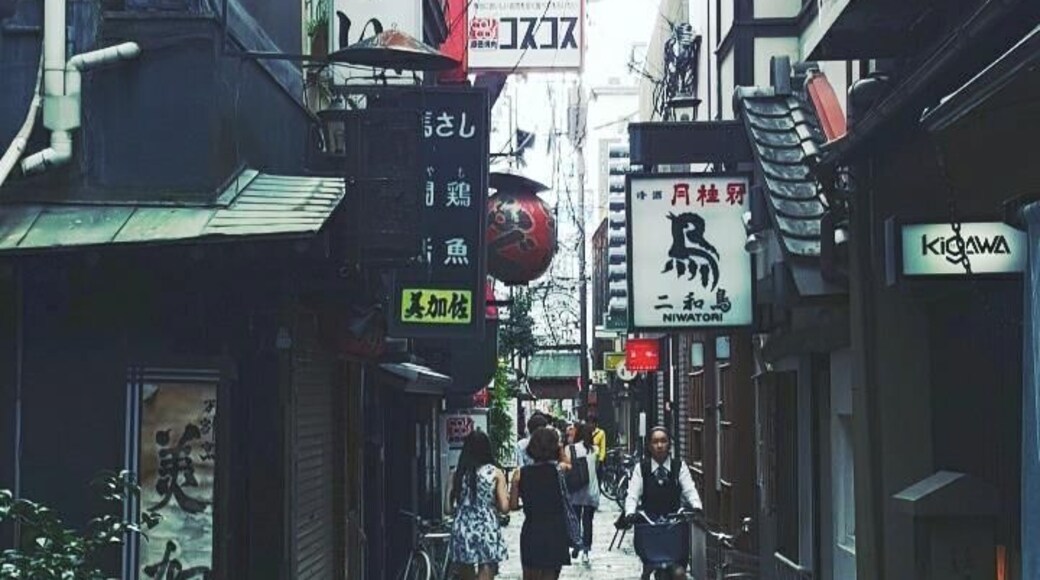 Osaka city
One of the lanes of Americamura area near Dotunburi.