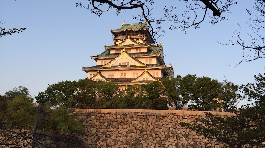 Too late in the season to watch the cherry blossom illumination. The trees are no longer blooming. During cherry blossom peak season you can have the night viewing. Osaka Castle is in the background. The garden is just a few hundred meters from it.