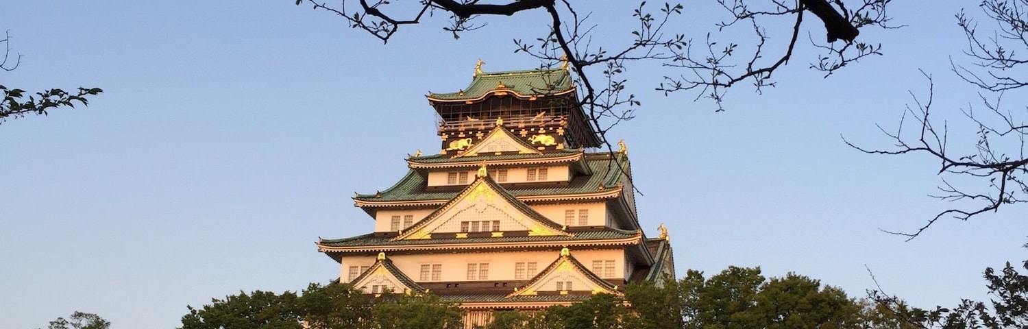 Too late in the season to watch the cherry blossom illumination. The trees are no longer blooming. During cherry blossom peak season you can have the night viewing. Osaka Castle is in the background. The garden is just a few hundred meters from it.
