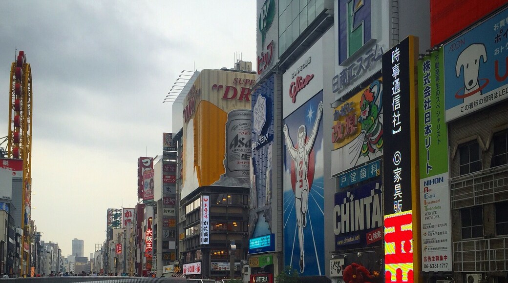 The lights and fun of Osaka are wonderful! So many delicious bites and interesting people watching! #LoveMyTown