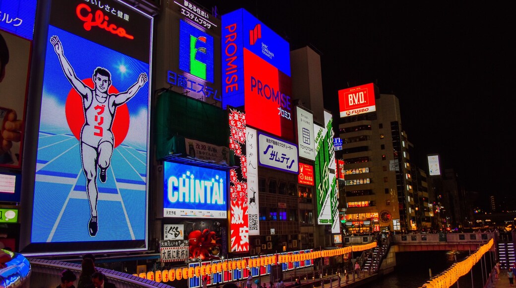 Neon Dotonbori
#osaka #japan #neon #lights #night #nice #cyberpunk