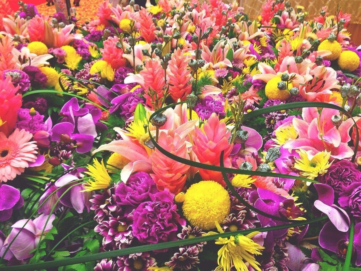 Lovely flowers 💐💐💐