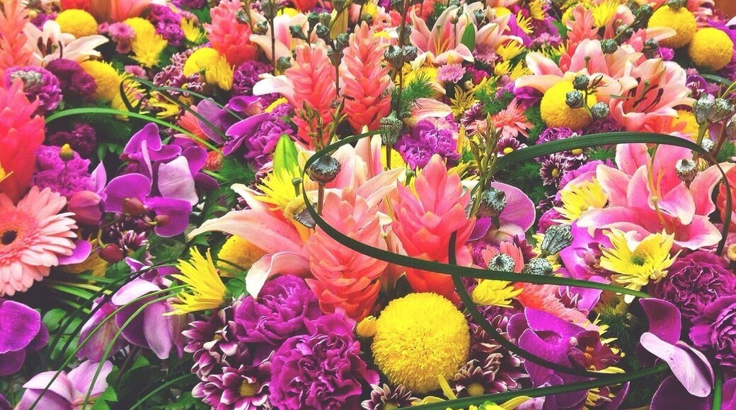 Lovely flowers 💐💐💐