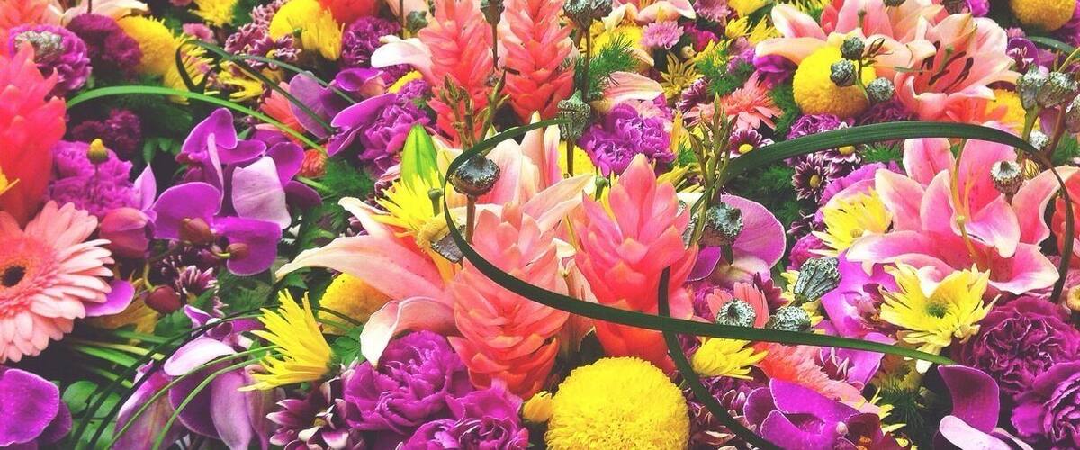Lovely flowers 💐💐💐