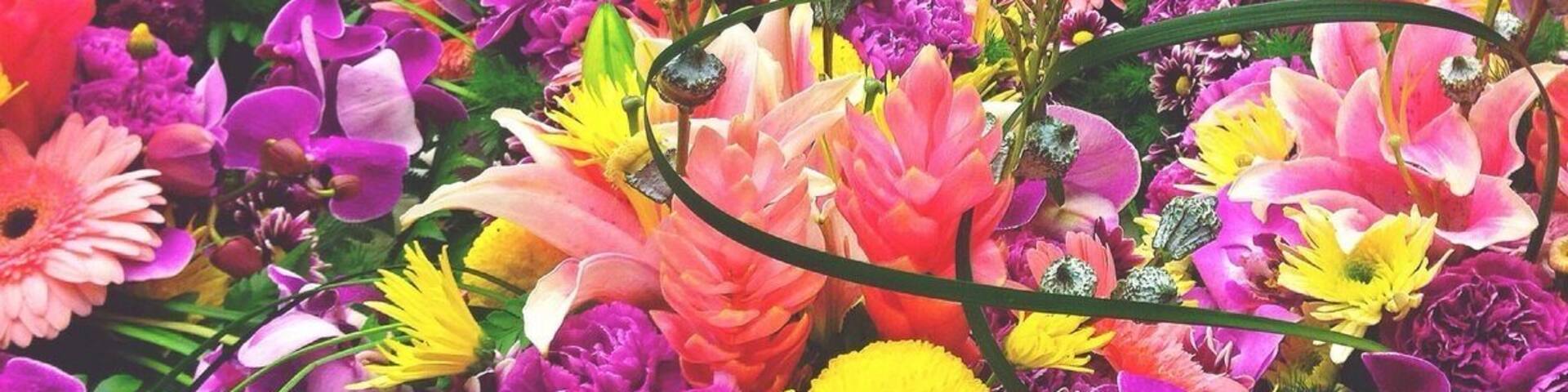 Lovely flowers 💐💐💐