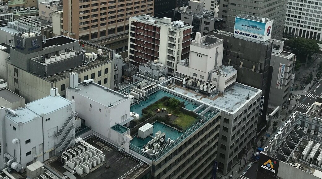 A hidden rooftop garden in busy Osaka...