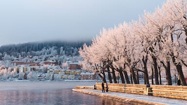 Escena a orillas del río con cerezos en flor, un banco de piedra y un pueblo cubierto de nieve al fondo.